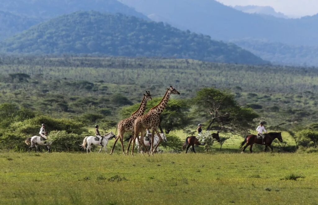Ol Donyo Lodge in de Chyulu Hills, Kenia – luxe safari-accommodatie met uitzicht op de Kilimanjaro, aangeboden door Christoffel Travel