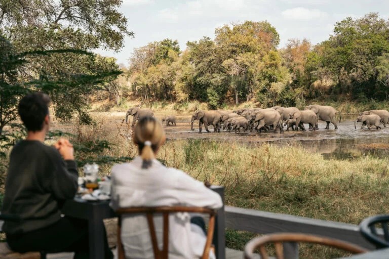 Simbavati River Lodge in het Timbavati Game Reserve, gelegen aan een droog rivierbed – Christoffel Travel.