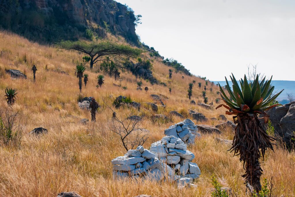 Historische site van de Slag bij Isandlwana, Anglo-Zulu oorlog, KwaZulu-Natal, Zuid-Afrika – Christoffel Travel