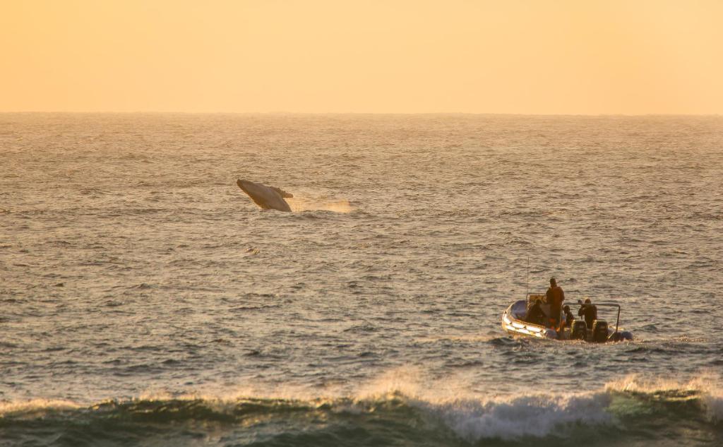 Thonga Beach Lodge, luxe strandlodge verscholen tussen de duinen van Maputaland, Zuid-Afrika – Christoffel Travel