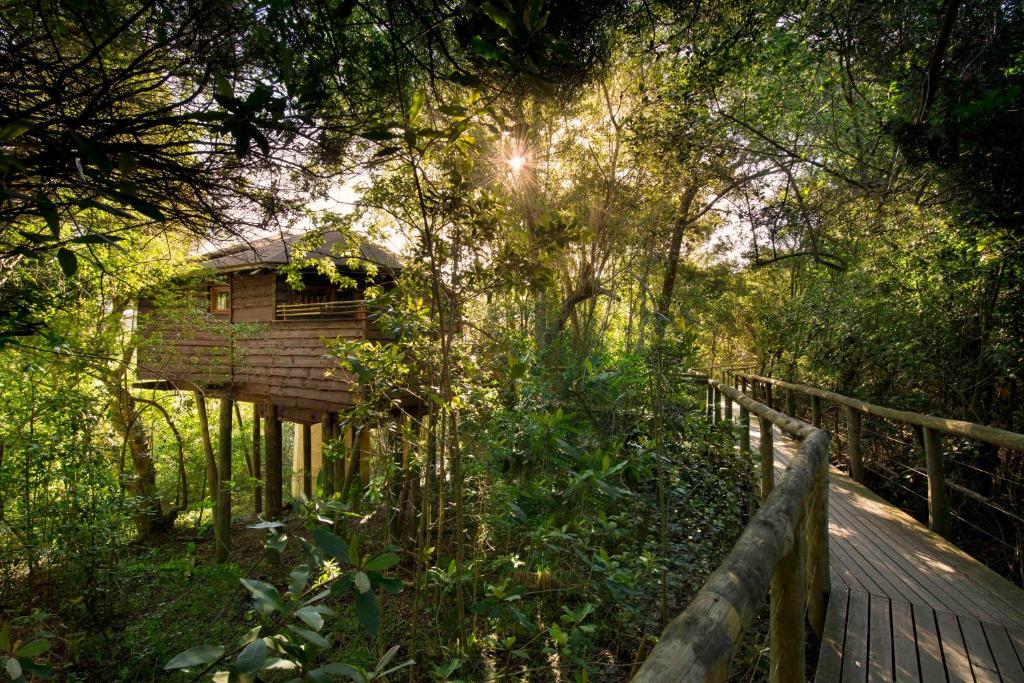 Tsala Treetop Lodge, suites tussen het bladerdak met privé plunge pool aan de Tuinroute.