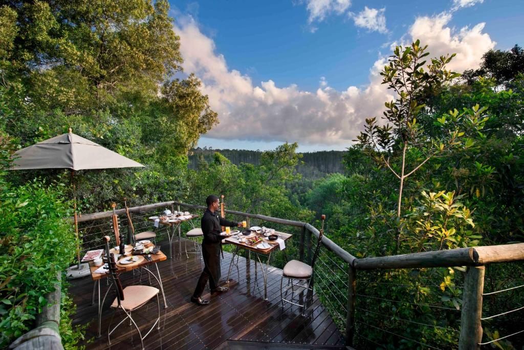 Tsala Treetop Lodge, suites tussen het bladerdak met privé plunge pool aan de Tuinroute.