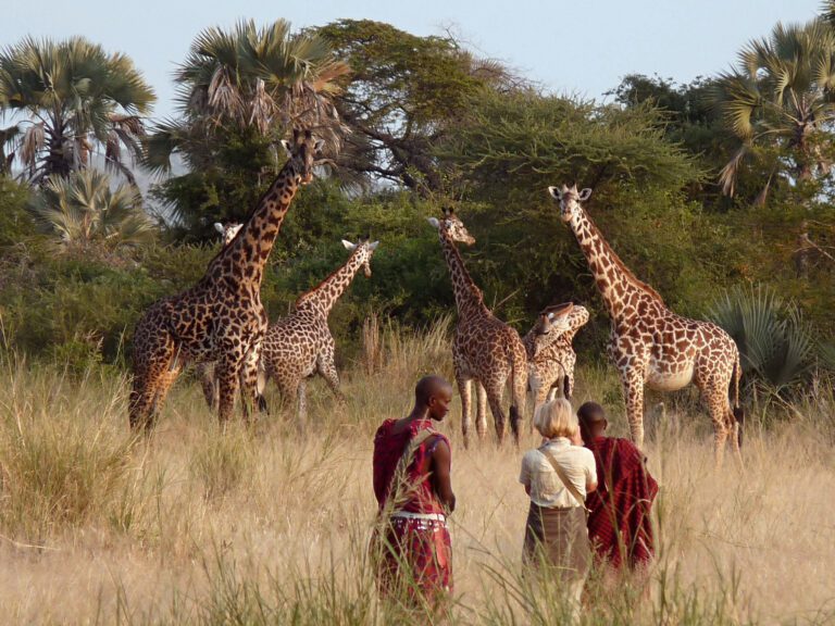 Wandelsafari in Masai Mara (Kenia) met Christoffel Travel