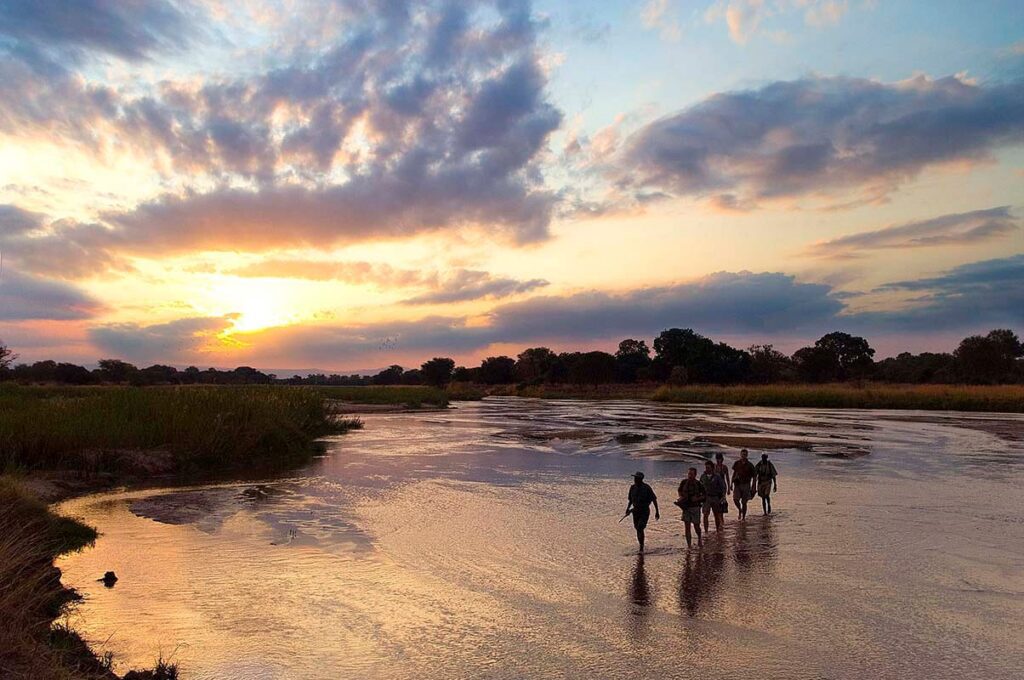 Wandelsafari in de ongerepte wildernis van Zambia, op zoek naar sporen van de Big Five – Christoffel Travel