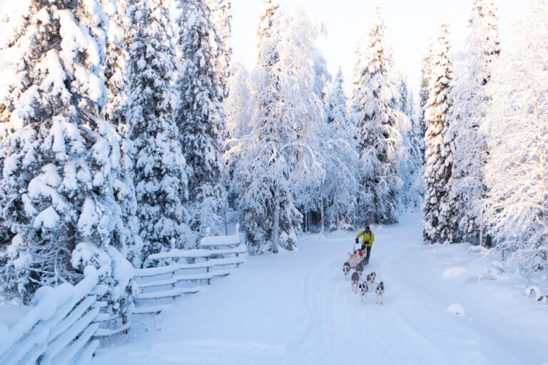 Huskysafari in Lapland met Christoffel Travel